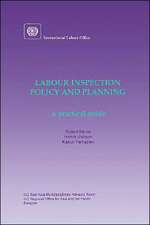 Labour inspection: Policy and planning. A practical guide