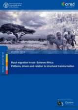 Rural migration in sub-Saharan Africa: patterns, drivers and relation to structural transformation