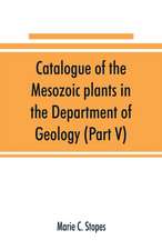 Catalogue of the Mesozoic plants in the Department of Geology (Part V)