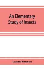 An Elementary Study of Insects