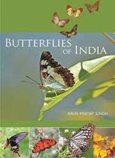 Butterflies of India