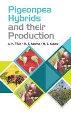 Pigeonpea Hybrids and Their Production