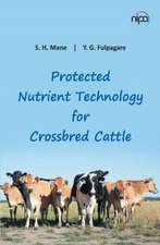 Protected Nutrient Technology for Crossbred Cattle