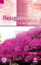 Bougainvillea: A Color Handbook