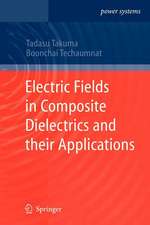 Electric Fields in Composite Dielectrics and their Applications