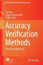 Accuracy Verification Methods: Theory and Algorithms