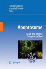 Apoptosome: An up-and-coming therapeutical tool