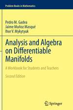 Analysis and Algebra on Differentiable Manifolds: A Workbook for Students and Teachers