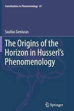 The Origins of the Horizon in Husserl’s Phenomenology