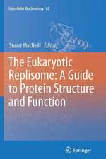 The Eukaryotic Replisome: a Guide to Protein Structure and Function