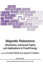 Magnetic Resonance: Introduction, Advanced Topics and Applications to Fossil Energy