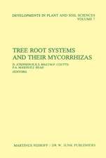 Tree Root Systems and Their Mycorrhizas