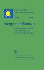 Energy from Biomass: Proceedings of the Workshop on Biomass Pilot Projects on Methanol Production and Algae, held in Brussels, 22 October 1981