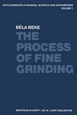 The Process of Fine Grinding