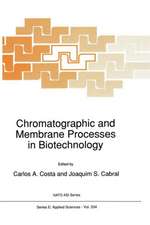 Chromatographic and Membrane Processes in Biotechnology