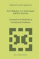 Geometrical Methods in Variational Problems