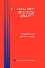 The Economics of Energy Security