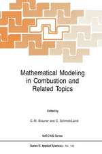 Mathematical Modeling in Combustion and Related Topics