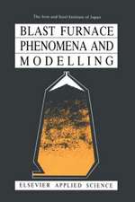 Blast Furnace Phenomena and Modelling