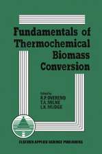 Fundamentals of Thermochemical Biomass Conversion