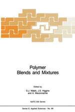 Polymer Blends and Mixtures