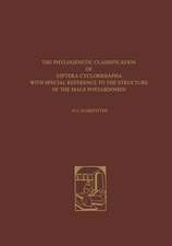 The Phylogenetic Classification of Diptera Cyclorrhapha: With Special Reference to the Structure of the Male Postabdomen