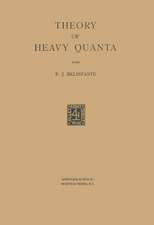 Theory of Heavy Quanta: Proefschrift