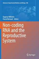 Non-coding RNA and the Reproductive System