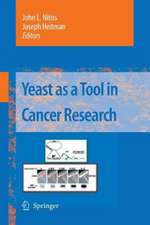 Yeast as a Tool in Cancer Research