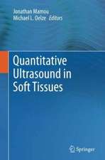 Quantitative Ultrasound in Soft Tissues