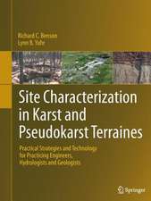 Site Characterization in Karst and Pseudokarst Terraines: Practical Strategies and Technology for Practicing Engineers, Hydrologists and Geologists