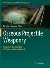 Osseous Projectile Weaponry: Towards an Understanding of Pleistocene Cultural Variability