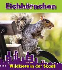 Eichhörnchen