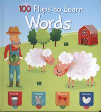 100 FLAPS TO LEARN WORDS