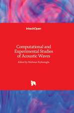 Computational and Experimental Studies of Acoustic Waves