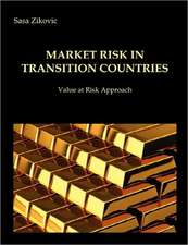 Market Risk in Transition Countries - Value at Risk Approach