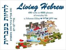 Living Hebrew (Text with Audio CD): 490 Verbs in 4000 Phrases of Everyday Life