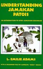 Understanding Jamaican Patois: An Introduction to Afro-Jamaican Grammar