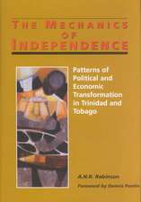 Mechanics of Independence Patterns of Political and Economic