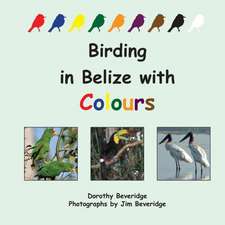 Birding in Belize with Colours