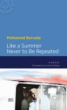 Like a Summer Never to Be Repeated: A Modern Arabic Novel