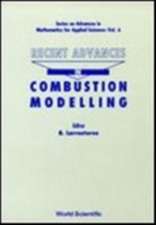 Recent Advances in Combustion Modelling