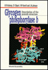 Glycogen Phosphorylase B: Description of the Protein Structure