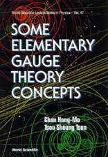 Some Elementary Gauge Theory Concepts