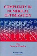 Complexity in Numerical Optimization