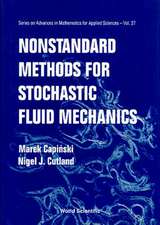 Nonstandard Methods for Stochastic Fluid Mechanics