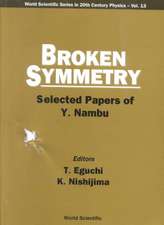 Broken Symmetry: Selected Papers of y Nambu