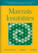 Materials Instabilities - Proceedings of the First Latin American Summer School