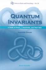 Quantum Invariants: A Study of Knots, 3-Manifolds, and Their Sets