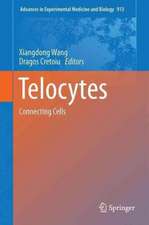 Telocytes: Connecting Cells